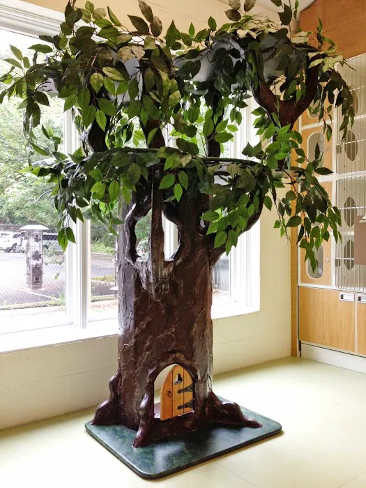 Schulhof Animal Hospital, LLC Picture 7