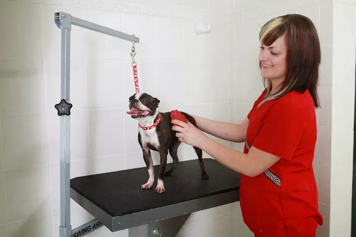 Schulhof Animal Hospital, LLC Picture 4