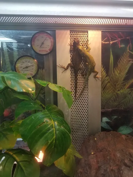Petco Picture 7