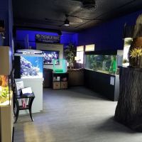 Premier Aquarium Service ico