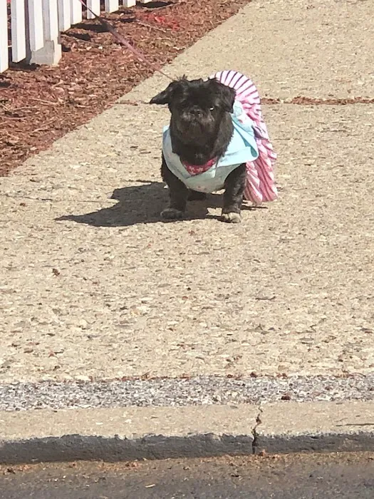 Banfield Pet Hospital Picture 5