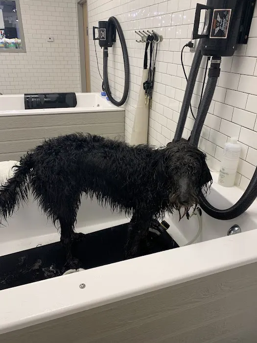 Chuck & Don's Pet Food & Supplies Picture 6