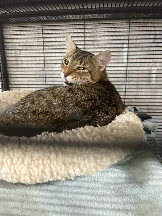 Chuck & Don's Pet Food & Supplies Picture 1