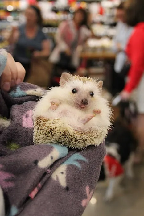 Chuck & Don's Pet Food & Supplies Picture 10