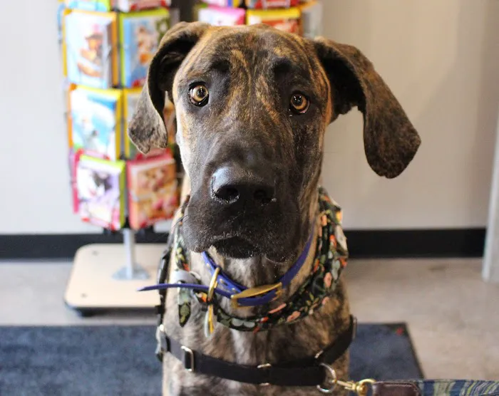 Chuck & Don's Pet Food & Supplies Picture 3