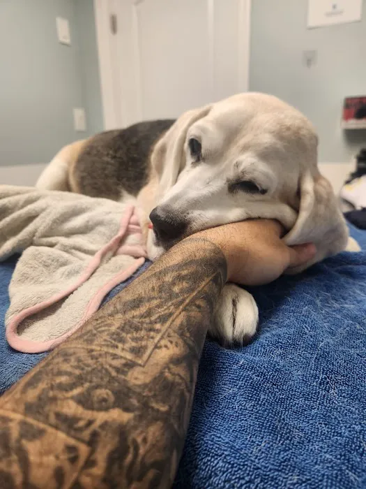 Mohegan Lake Veterinary Hospital Picture 3