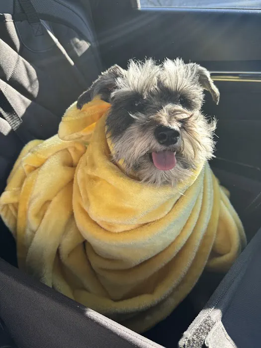 Mohegan Lake Veterinary Hospital Picture 8