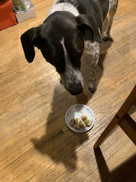 Mohegan Lake Veterinary Hospital Picture 9