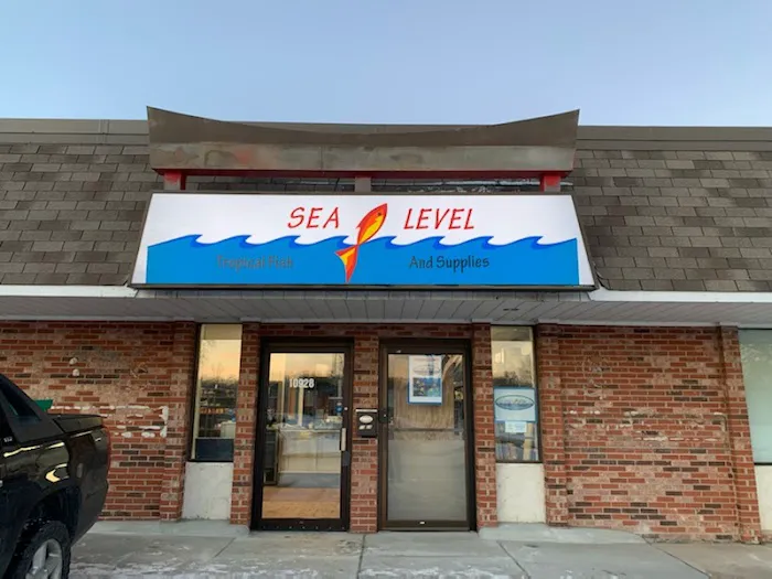 Sea Level Picture 6