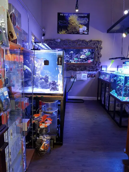 New Wave Aquaria Picture 1