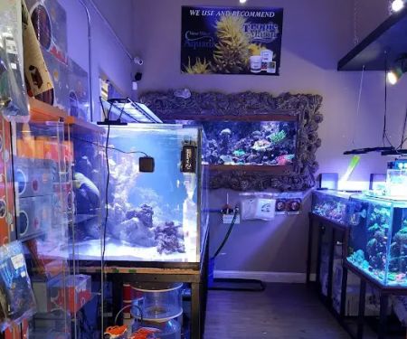 New Wave Aquaria