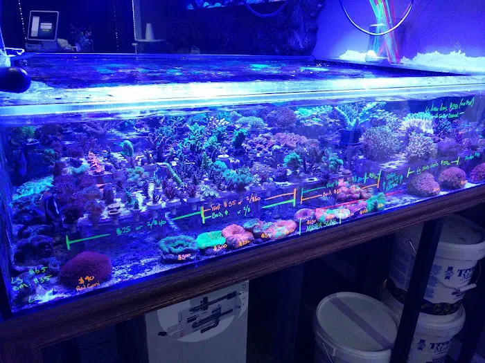 New Wave Aquaria Picture 9