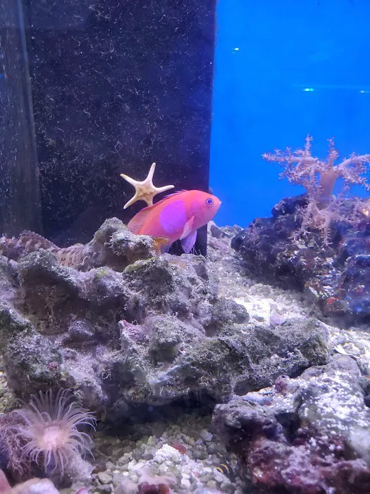 New Wave Aquaria Picture 7