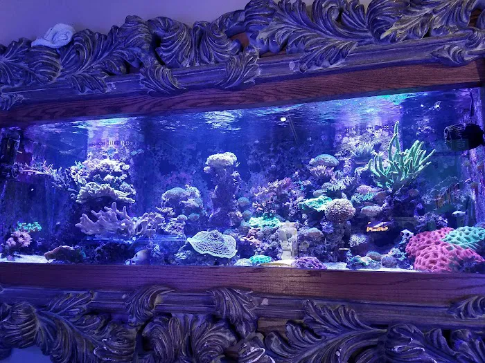 New Wave Aquaria Picture 2