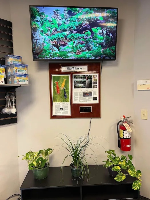 Joes shrimp shack Picture 6