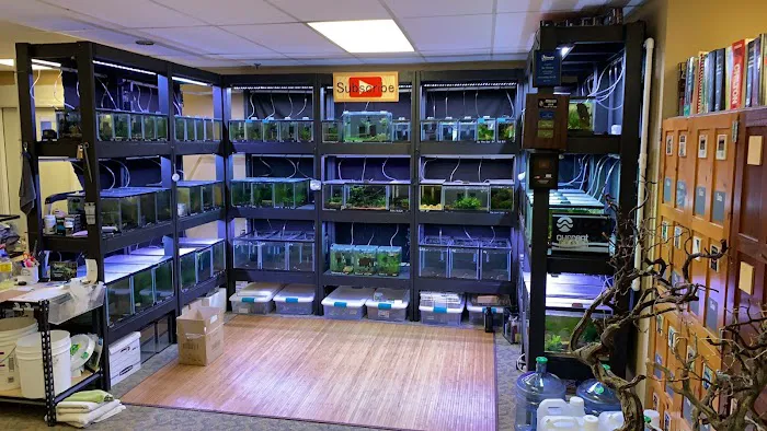 Joes shrimp shack Picture 3