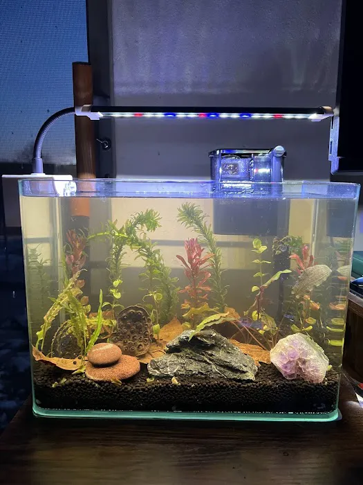 Joes shrimp shack Picture 5