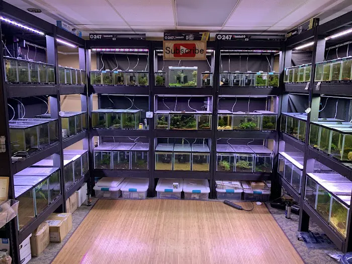 Joes shrimp shack Picture 2