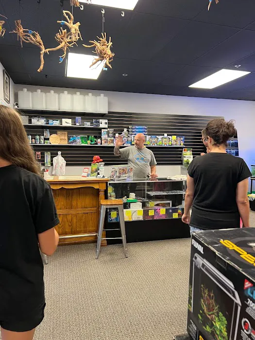 Joes shrimp shack Picture 8