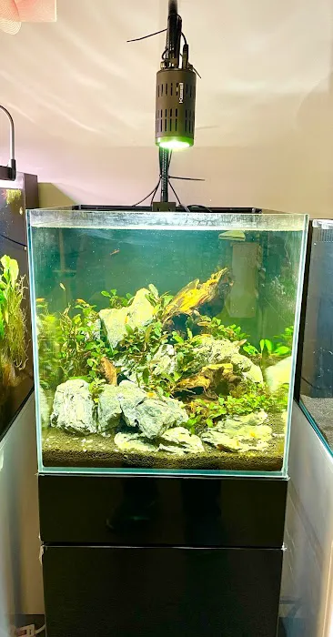 Joes shrimp shack Picture 10