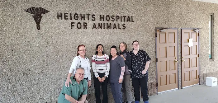 Heights Hospital For Animals Picture 7