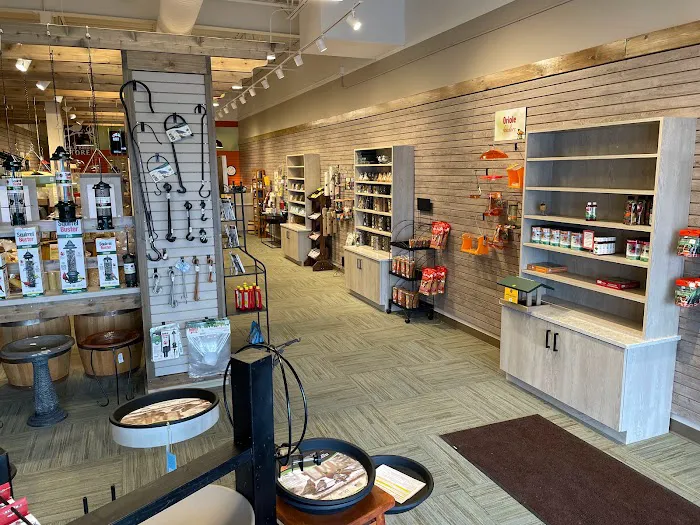 All Seasons Wild Bird Store Picture 5