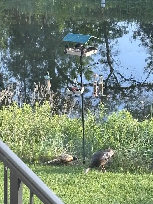 All Seasons Wild Bird Store Picture 1