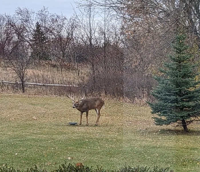 All Seasons Wild Bird Store Picture 2