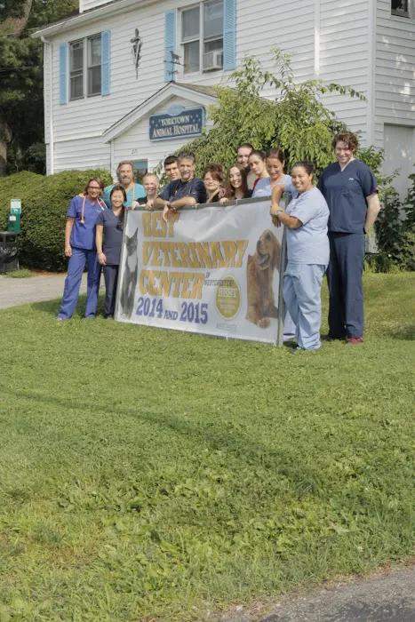 Yorktown Animal Hospital Picture 9