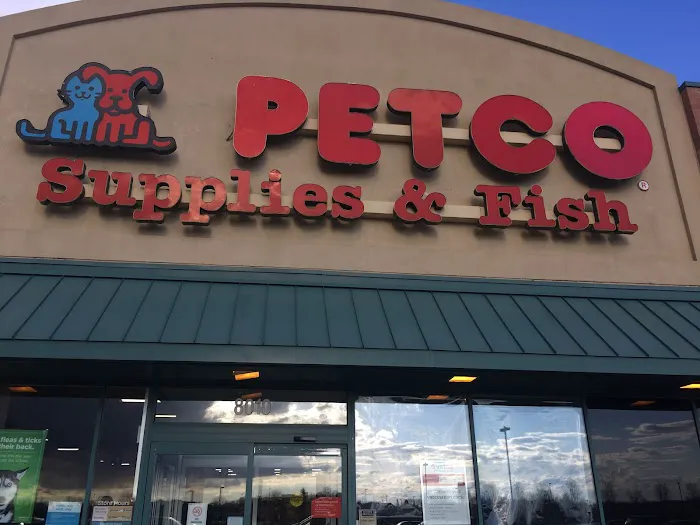 Petco Picture 6
