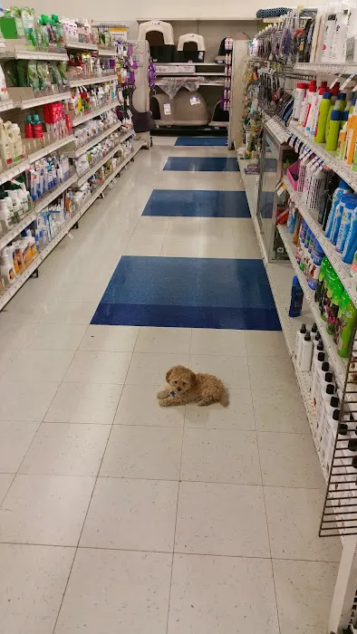Petco Picture 9