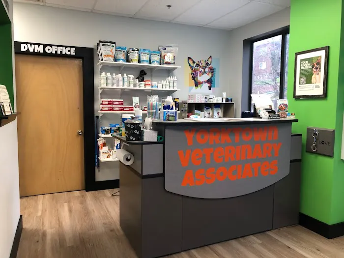 Yorktown Veterinary Associates Picture 1