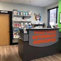 Yorktown Veterinary Associates ico
