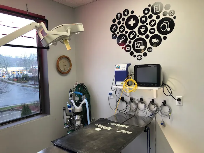 Yorktown Veterinary Associates Picture 4