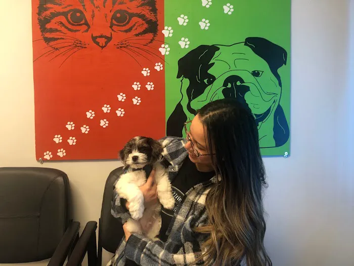 Yorktown Veterinary Associates Picture 7