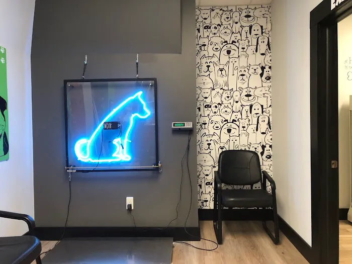 Yorktown Veterinary Associates Picture 10