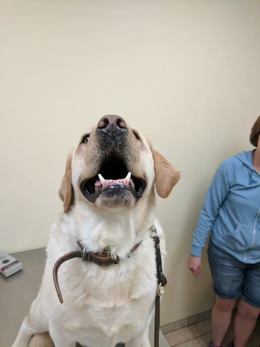 Baldwin Place Animal Hospital Picture 2