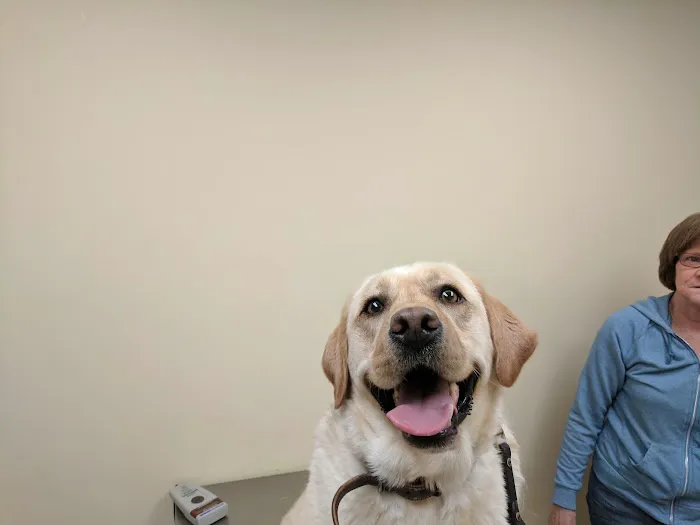Baldwin Place Animal Hospital Picture 1