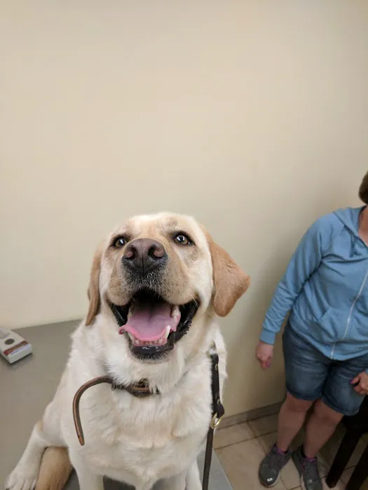 Baldwin Place Animal Hospital Picture 6