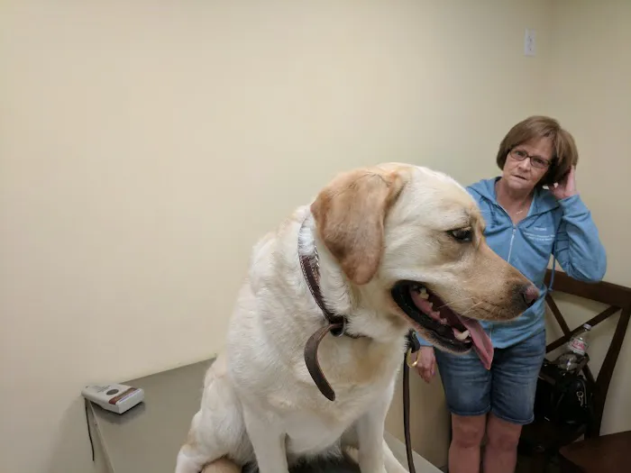 Baldwin Place Animal Hospital Picture 4