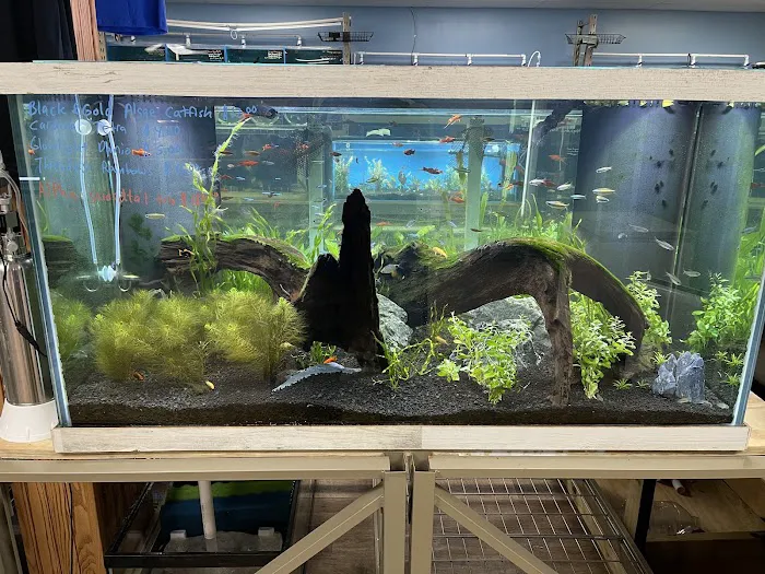 Pure Fish Works Picture 3