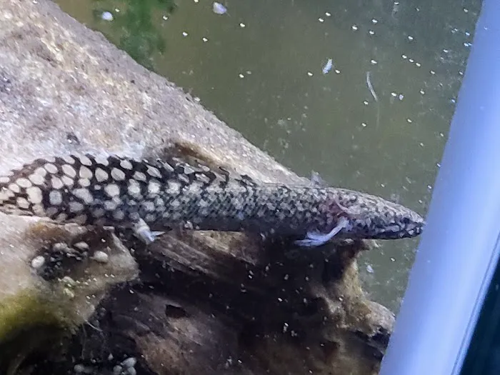 Pure Fish Works Picture 9