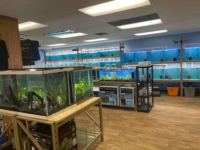 Pure Fish Works Picture 4