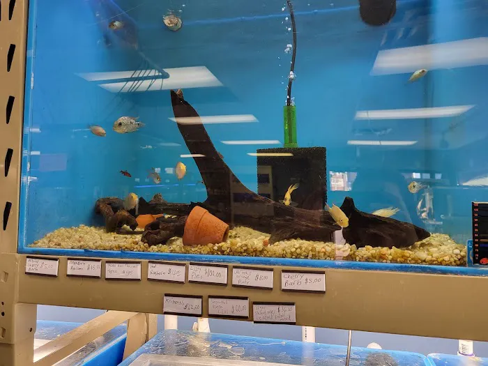 Pure Fish Works Picture 6