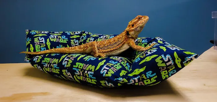 Pure Fish Works Picture 5