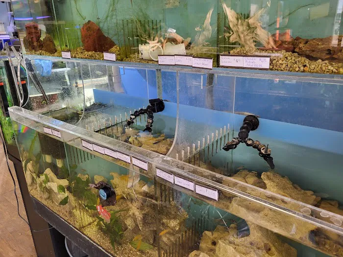 Pure Fish Works Picture 10