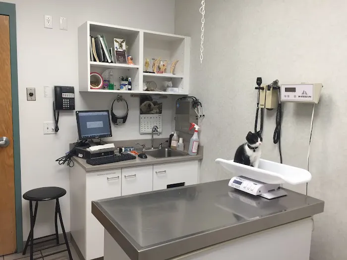 South Putnam Animal Hospital Picture 8