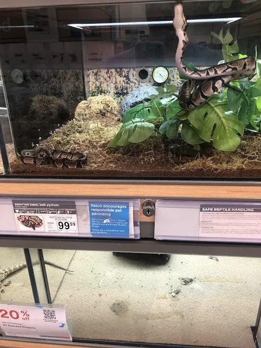 Petco Picture 2