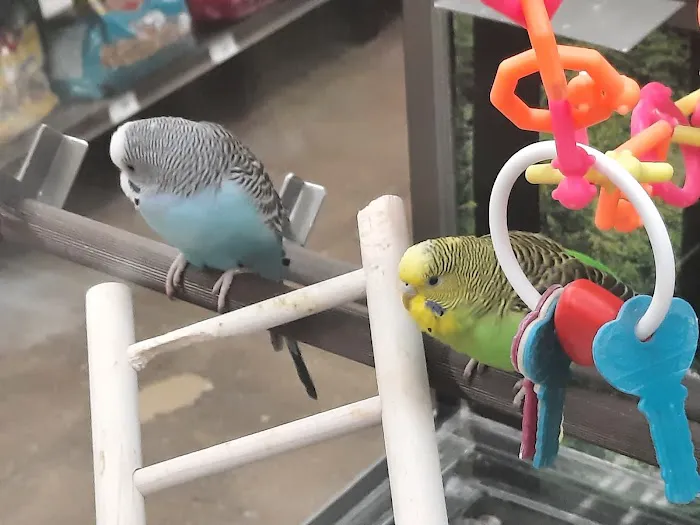 Petco Picture 8