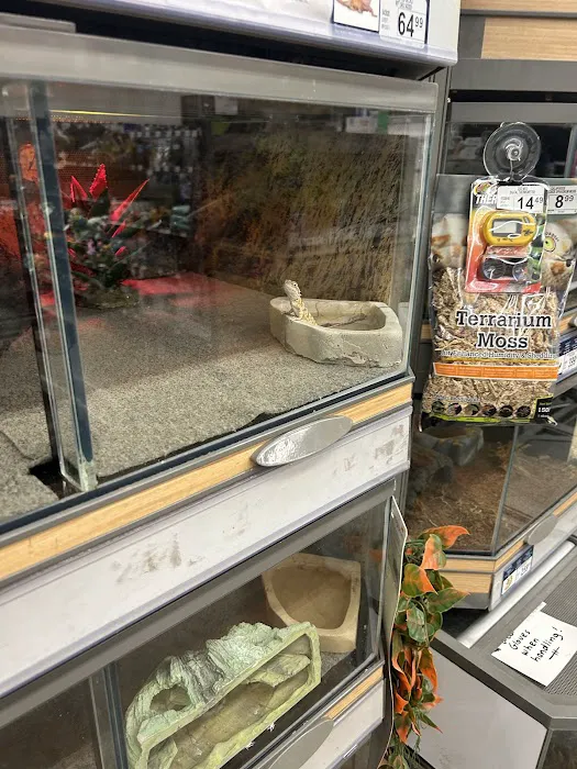 Petco Picture 7